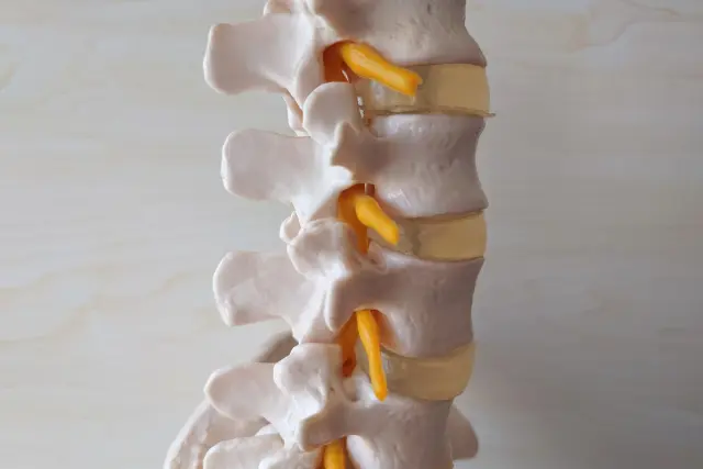 サブラクセーション【Subluxation】 | ヨシダカイロプラクティック