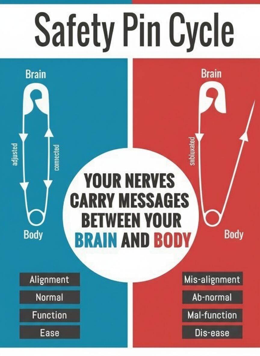 サブラクセーション【Subluxation】 | ヨシダカイロプラクティック